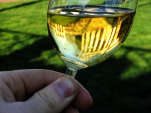 Chardonnay-glass