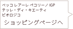 カシェットシークレットショッピングサイトで買い物をする