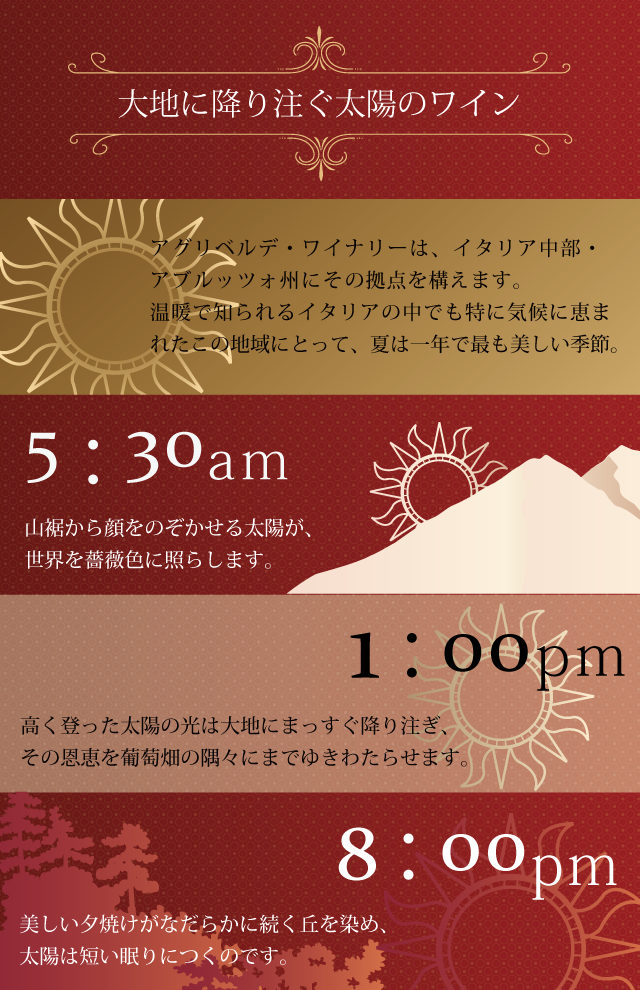 大地に降り注ぐ太陽のワイン